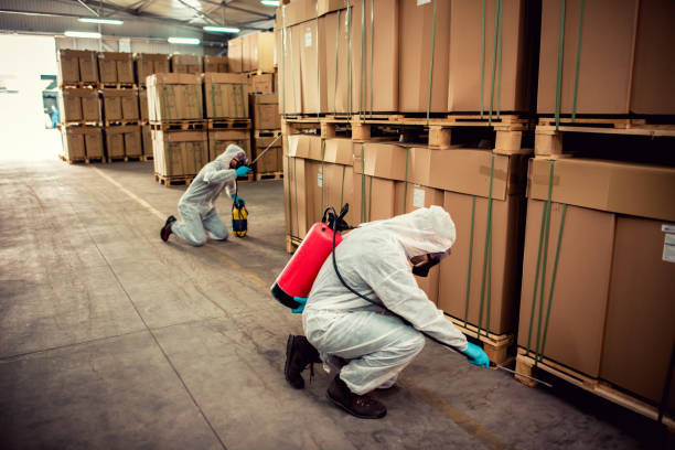 Best Affordable Pest Control Services  in Forsgate, NJ