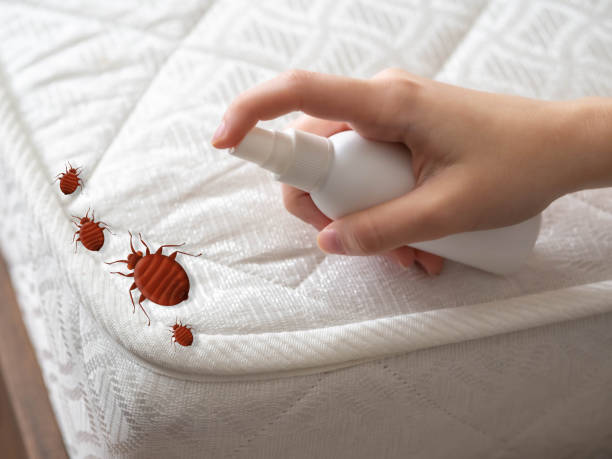 Best Flea Control Services  in Forsgate, NJ