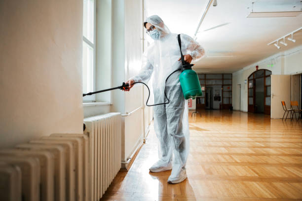 Best Termite Control Services  in Forsgate, NJ