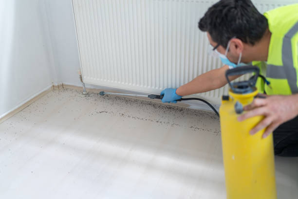 Best Pest Inspection Near Me  in Forsgate, NJ