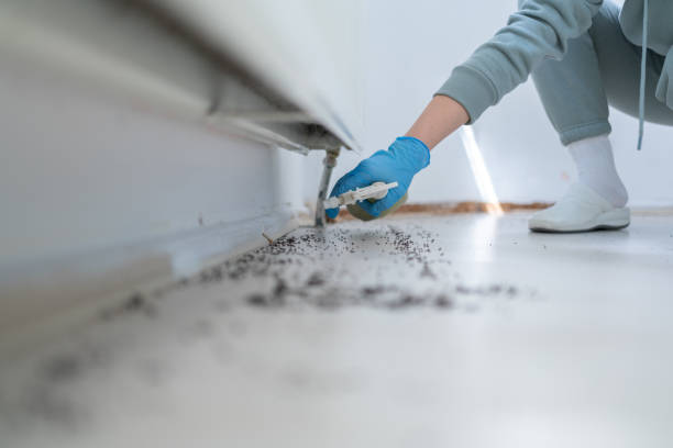 Best Exterminator Services  in Forsgate, NJ