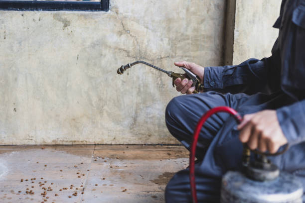 Best Pest Prevention Services  in Forsgate, NJ