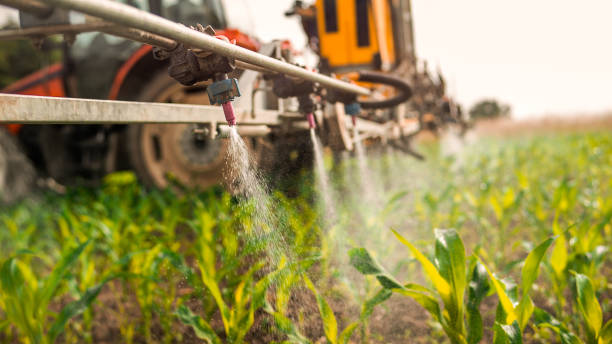 Professional Pest Control in Forsgate, NJ